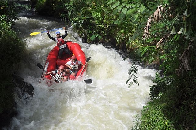 Popular River Rafting Trips and Services